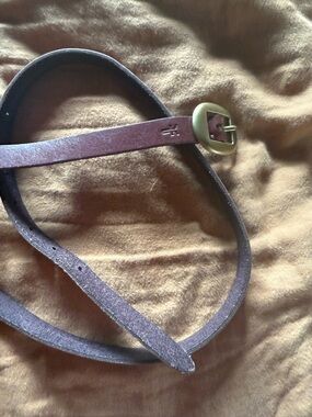 Frye Dark Brown Leather Belt with Brass Buckle